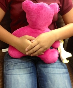 pink bear.JPG